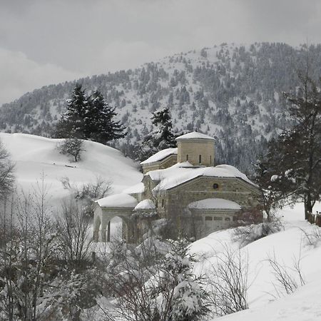 Guesthouse Theodorou Eláti المظهر الخارجي الصورة