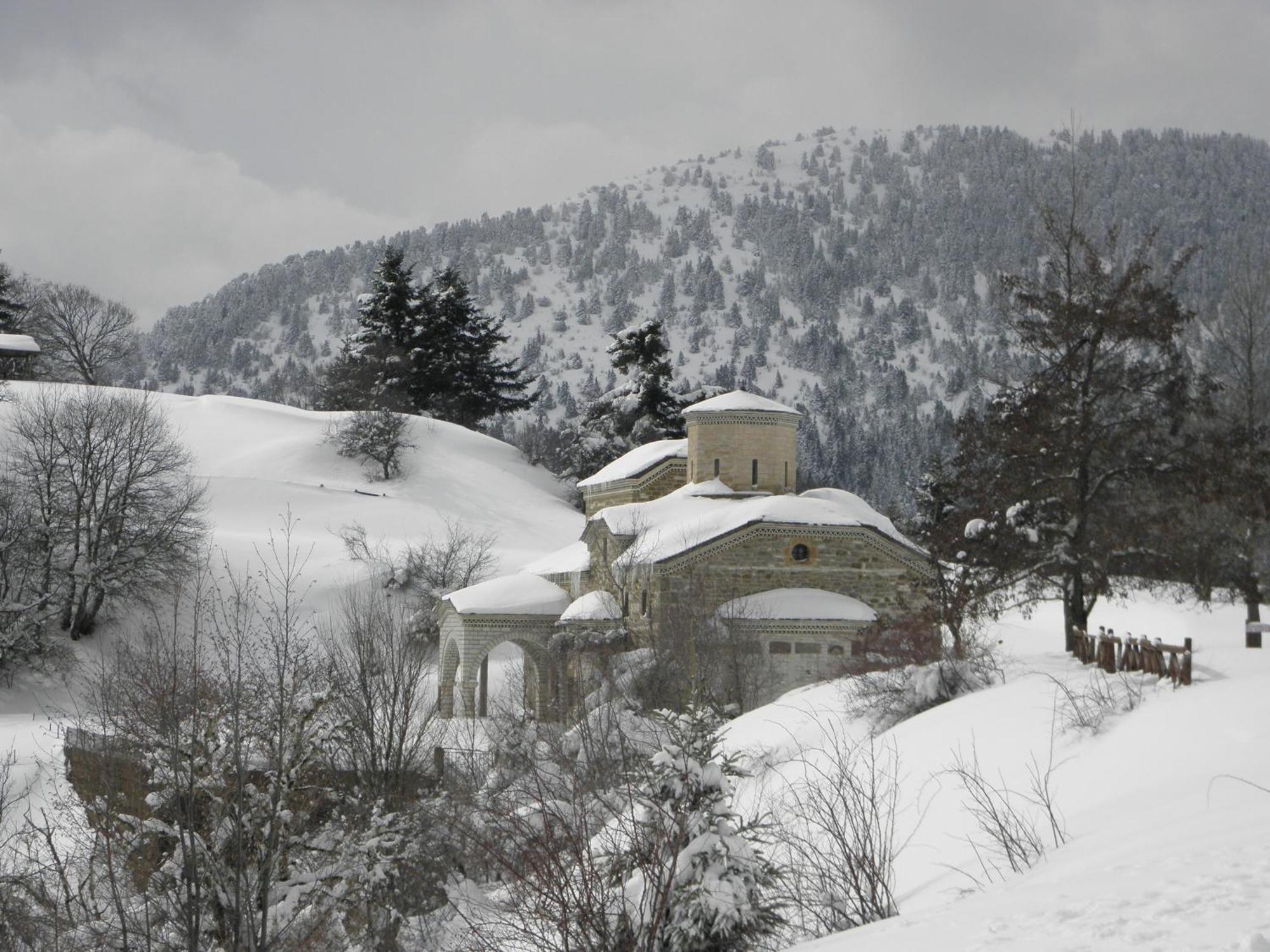 Guesthouse Theodorou Eláti المظهر الخارجي الصورة
