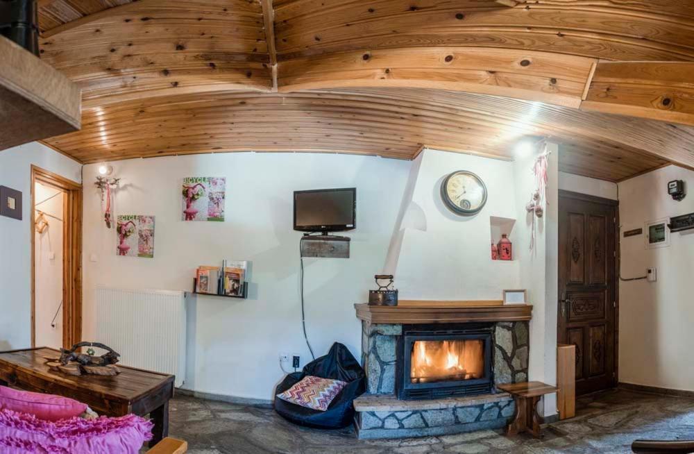 Guesthouse Theodorou Eláti المظهر الخارجي الصورة